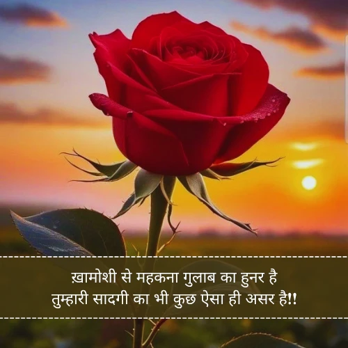 Gulab Shayari 2 Lines Hindi Gulab Shayari 2 Lines Hindi