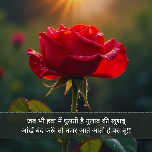 Gulab Shayari For Girl Gulab Shayari For Girl