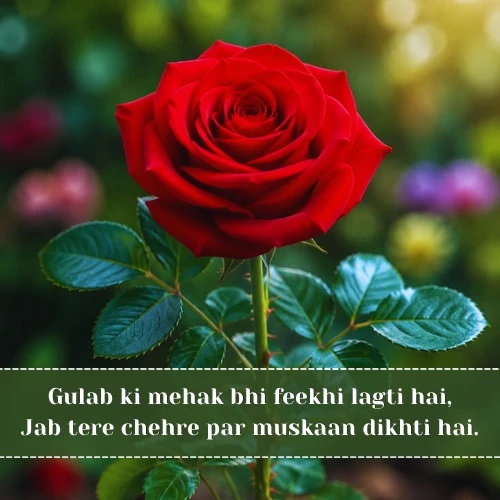 Gulab Shayari in English Gulab Shayari in English