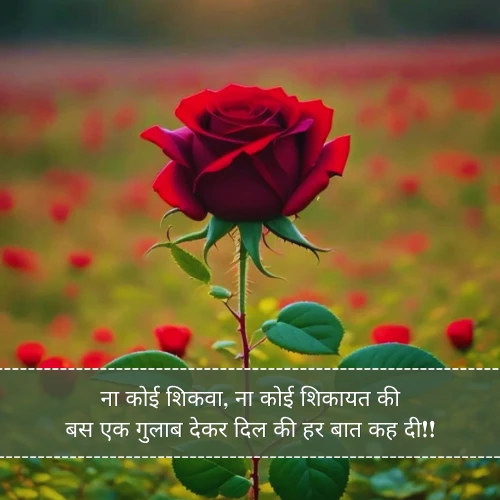 Gulab Shayari in Hindi Gulab Shayari in Hindi