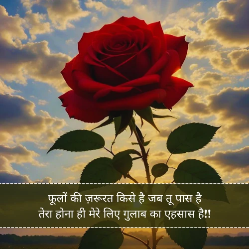 Gulab Shayari Gulab Shayari