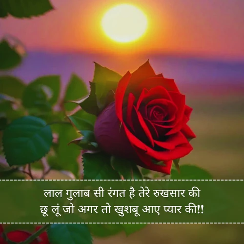 Love Gulab Shayari Love Gulab Shayari