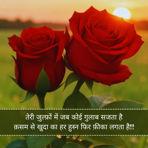 Romantic Gulab Shayari Romantic Gulab Shayari