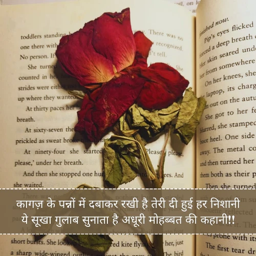 Sukha Gulab Shayari Sukha Gulab Shayari